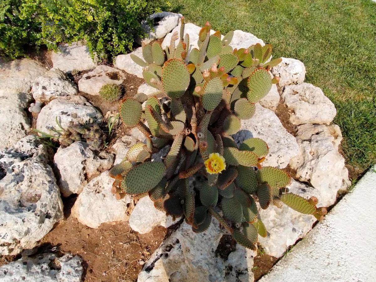 Il Giardino Deluxe Villa Lizzanello Luaran gambar